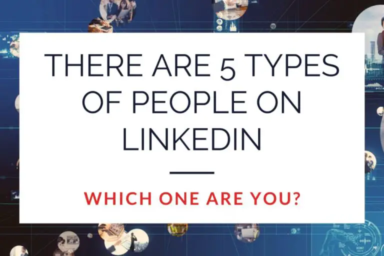 What are the top 5 types of LinkedIn users