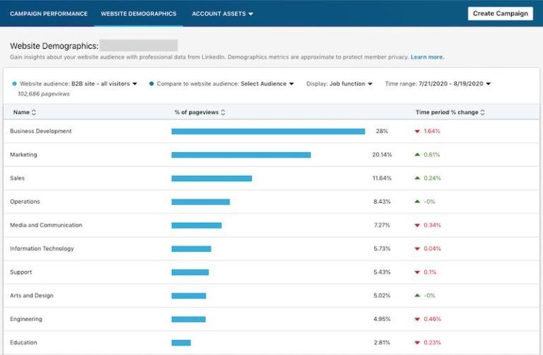 What is demographics on LinkedIn ads