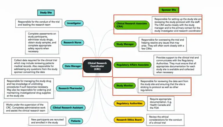 What is the difference between a clinical researcher and a clinical research associate