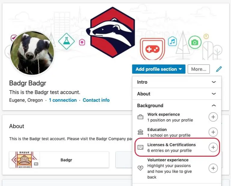 Where does it show your badges on LinkedIn