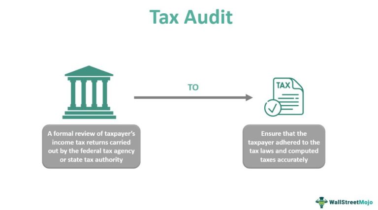 What does a tax auditor do