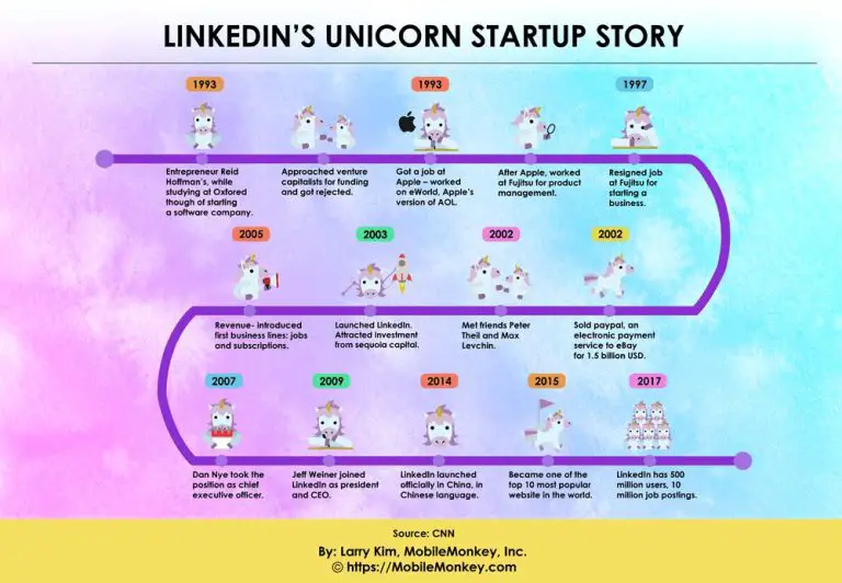 How did LinkedIn start and grow