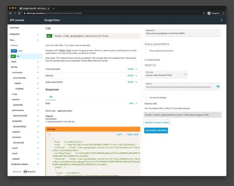 How do I document API standards