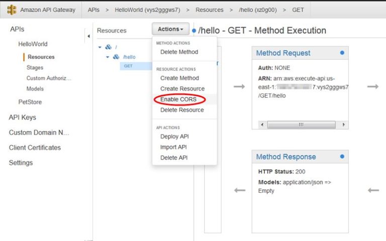 How do I enable CORS in API