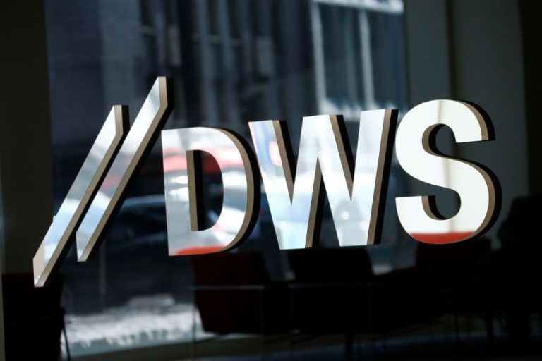 What does DWS group stand for