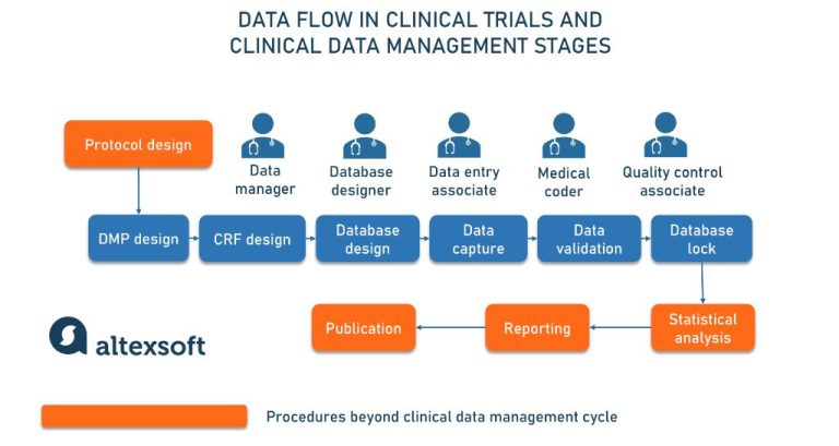 What does a clinical data manager do