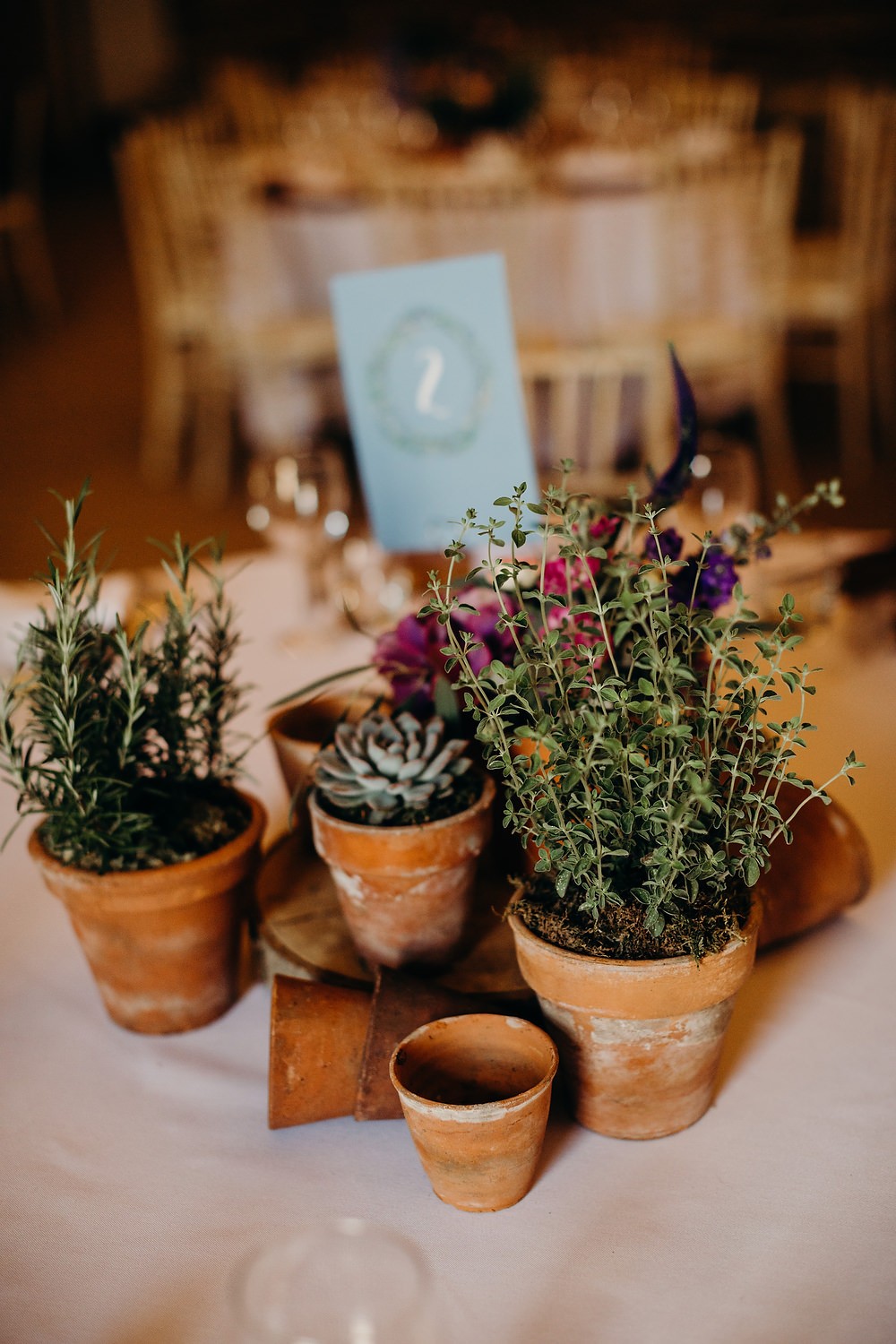 Terracotta Plant Pots