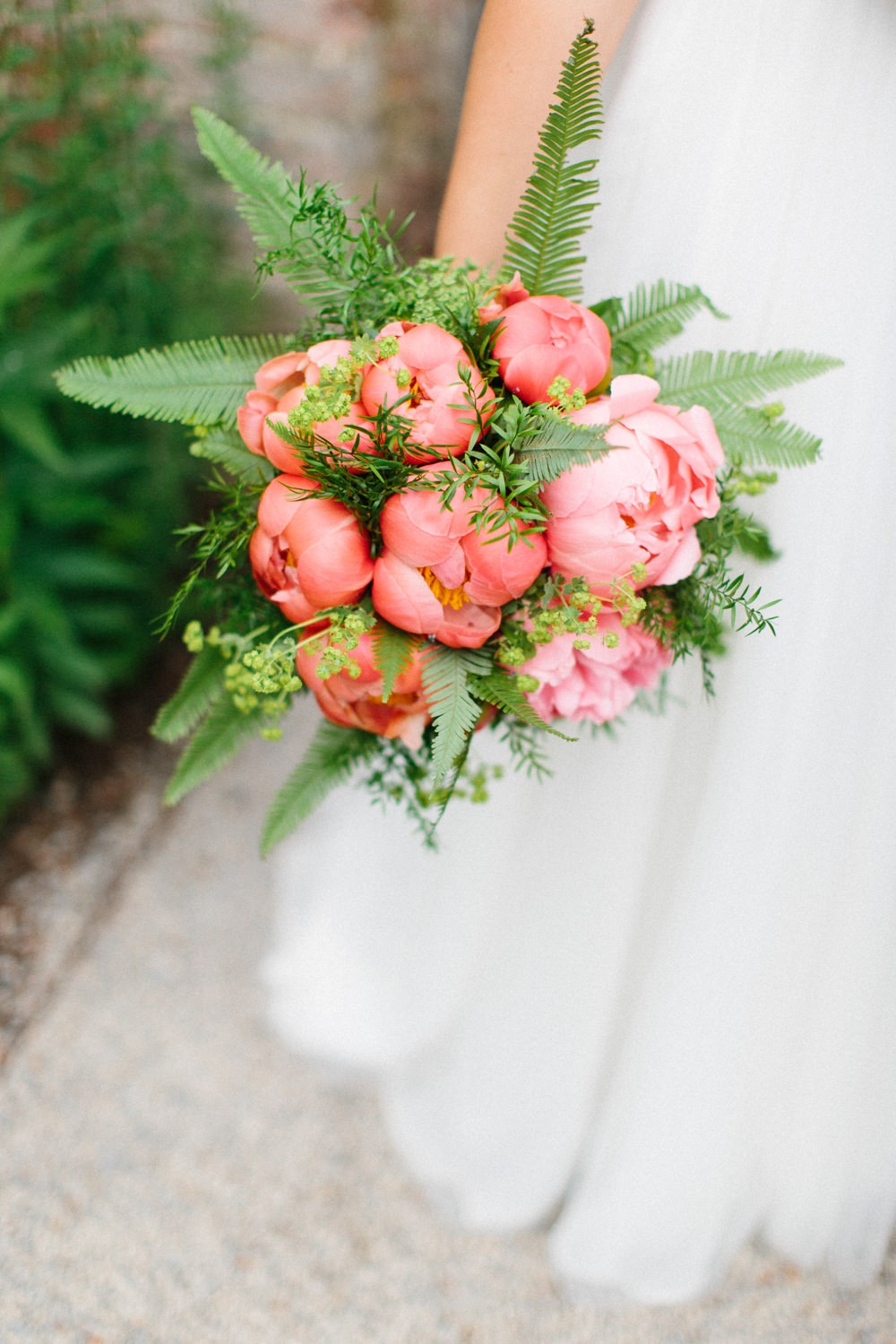 Peonies & Ferns