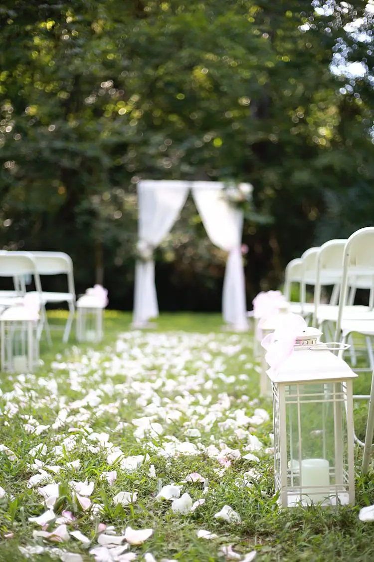 Petals & Lanterns