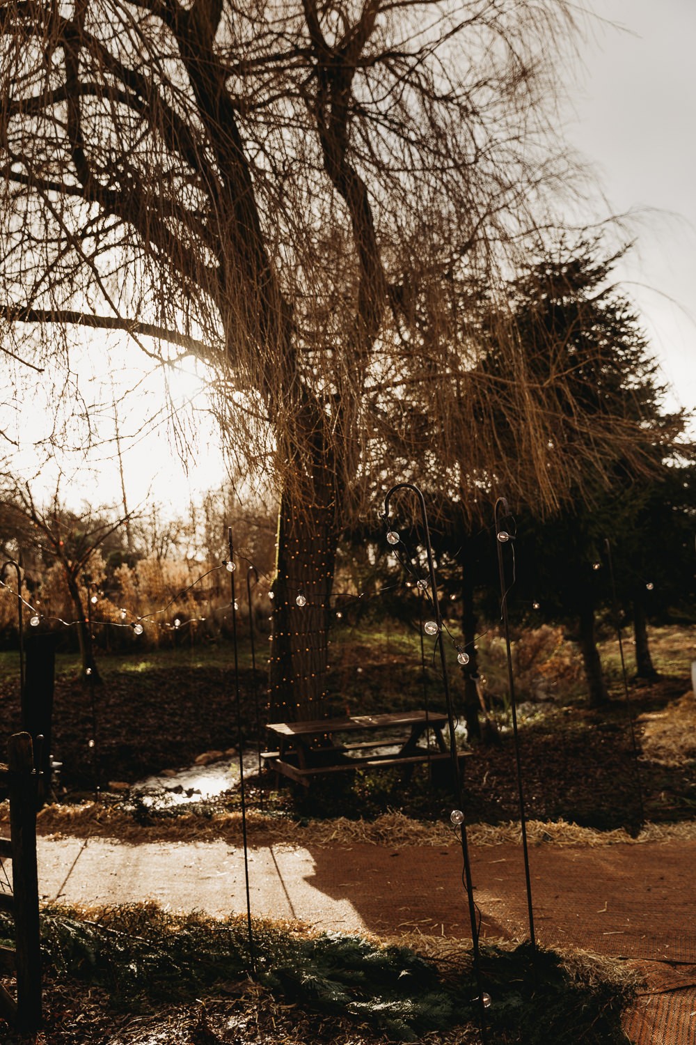 Magical Christmas Marquee Wedding with Twinkling Fairy Lights