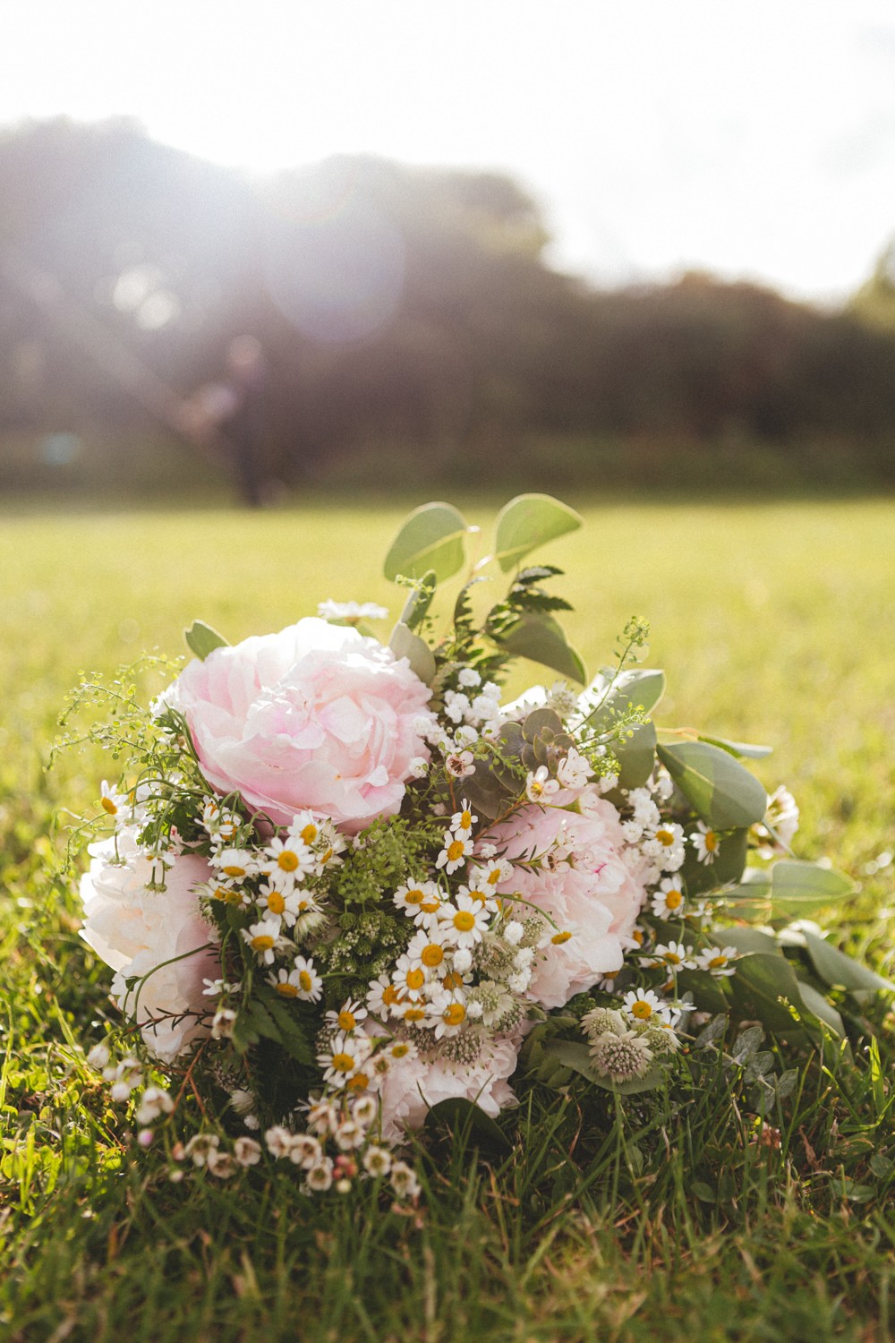 Peonies & Daisies