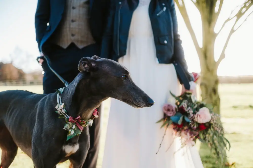 The Bride & Groom