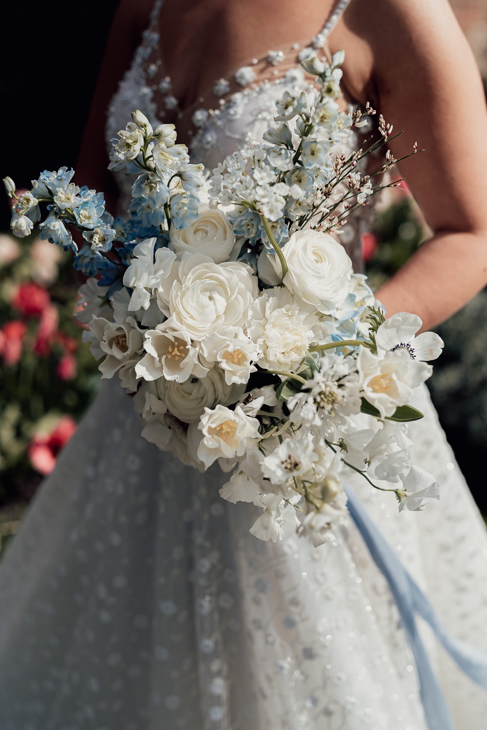 White Spring Blooms