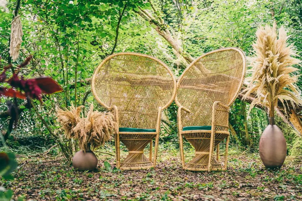 Peacock Chairs