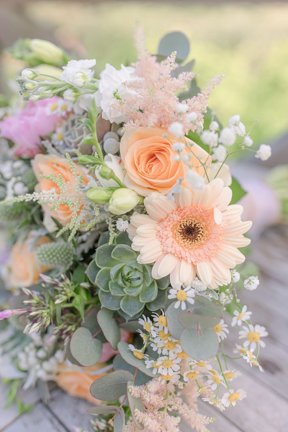 Gerberas