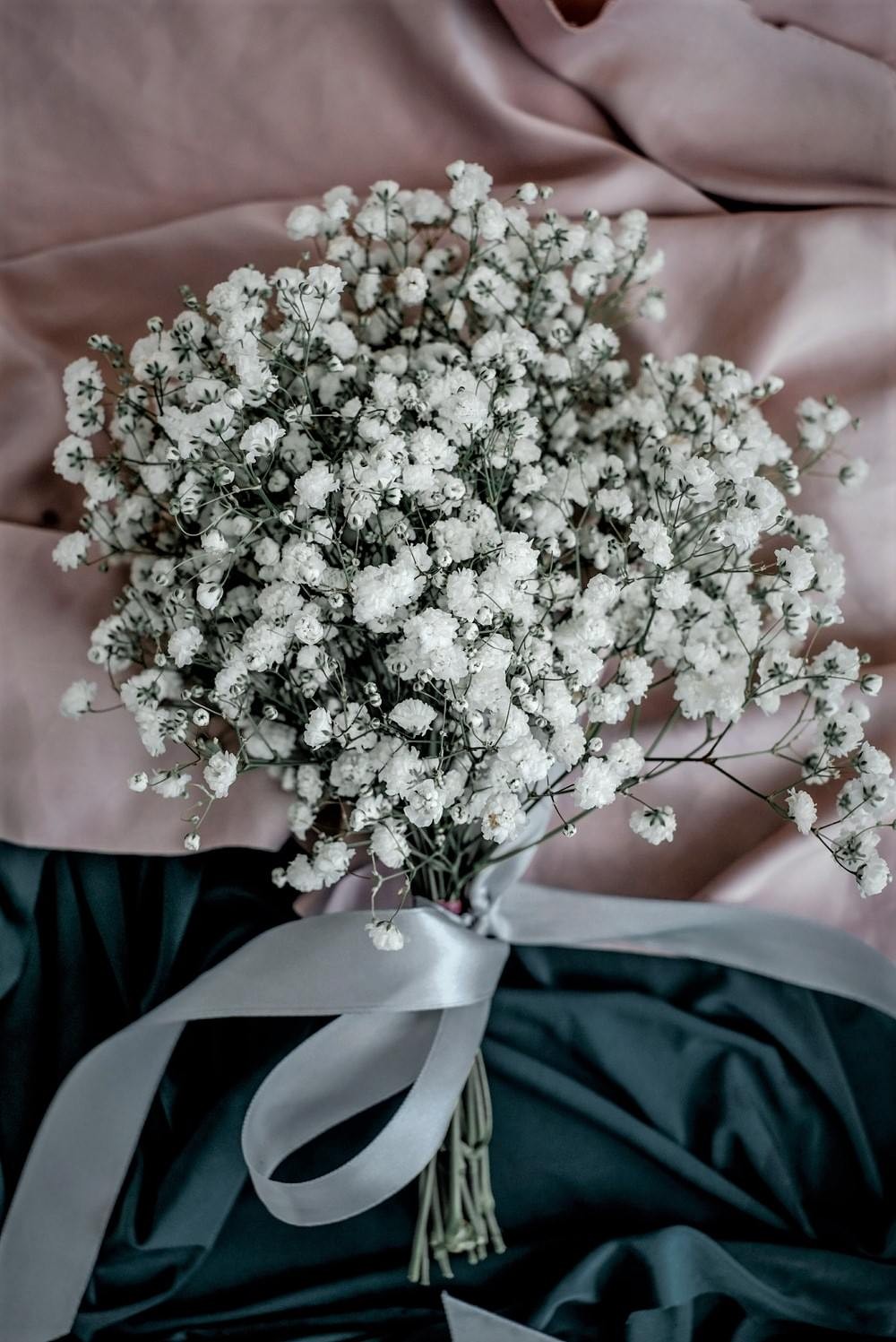 Gypsophila