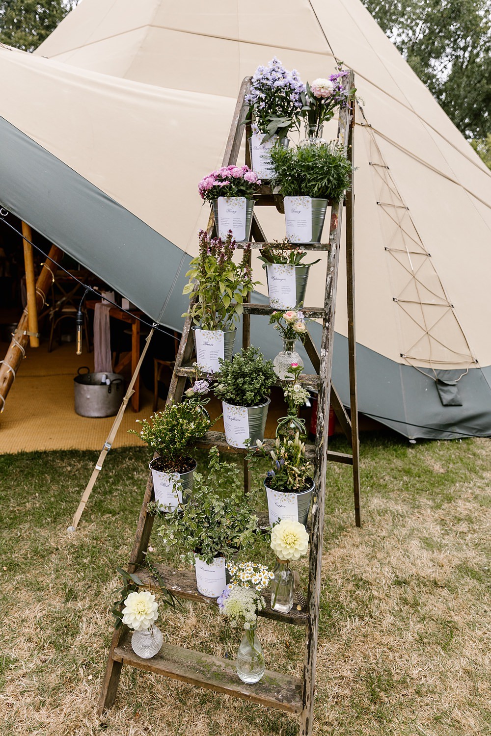 Potted Plants