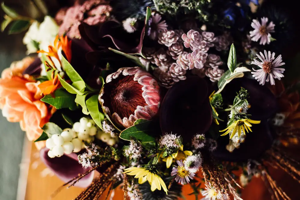 Unique & Unbelievably Whimsical Woodland Wedding with Alpacas & Owls