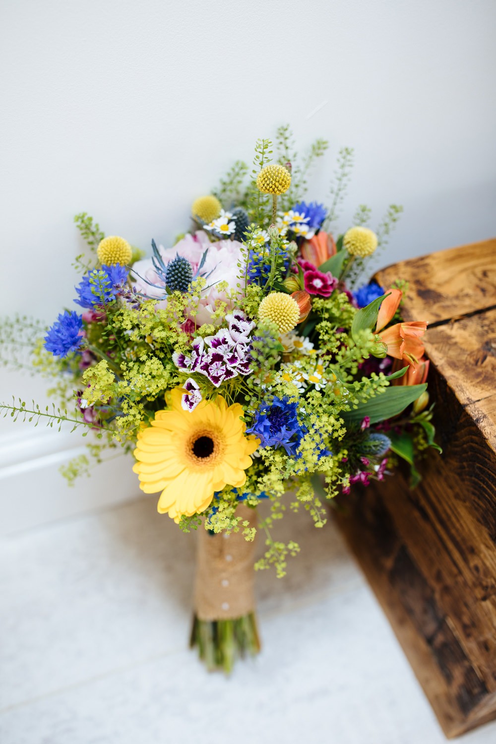 Gerberas