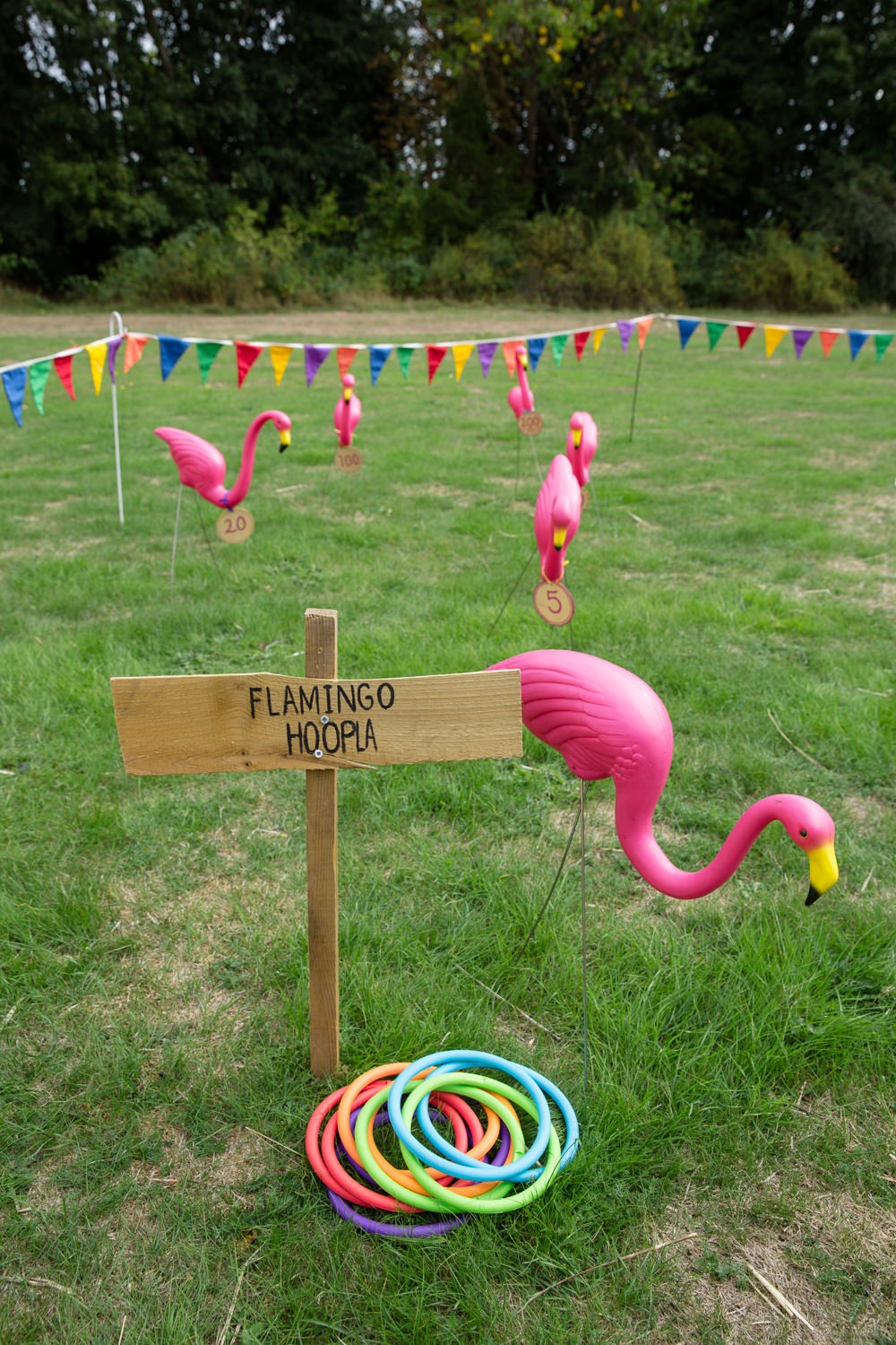 Flamingo Ring Toss