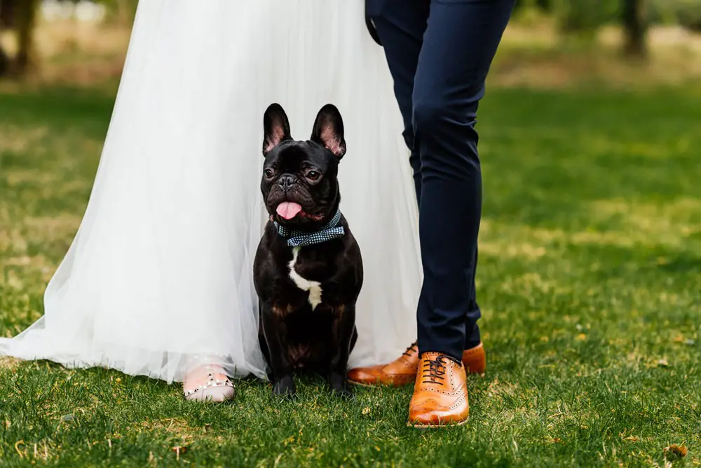 Groomsmen