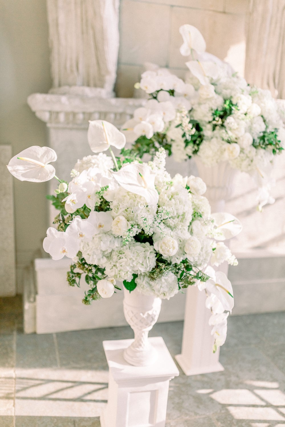 Bright White Flowers