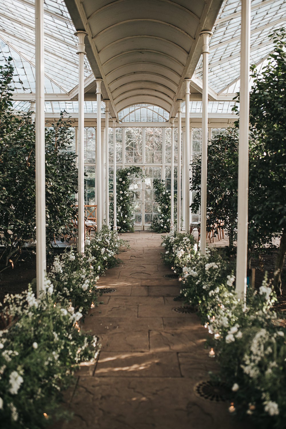 Camellia Arch